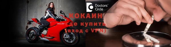 сатива Белокуриха