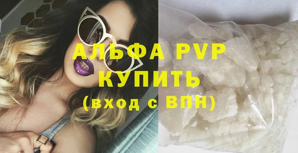 сатива Белокуриха