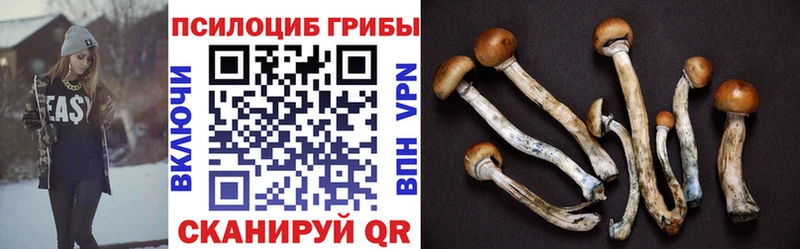 Псилоцибиновые грибы мухоморы  Купить  Мосальск 